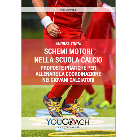 MOTOR SCHEMES IN SCHOOL FOOTBALL
